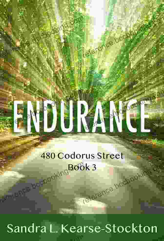 480 Codorus Street Book Cover By Allison Pataki. 480 Codorus Street: Surviving Unpredictability Allison Pataki
