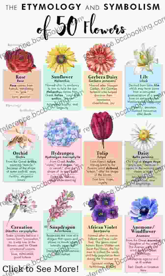 A Collection Of Flowers, Each With A Different Symbolic Meaning. A Month Full Of Flowers Week 5