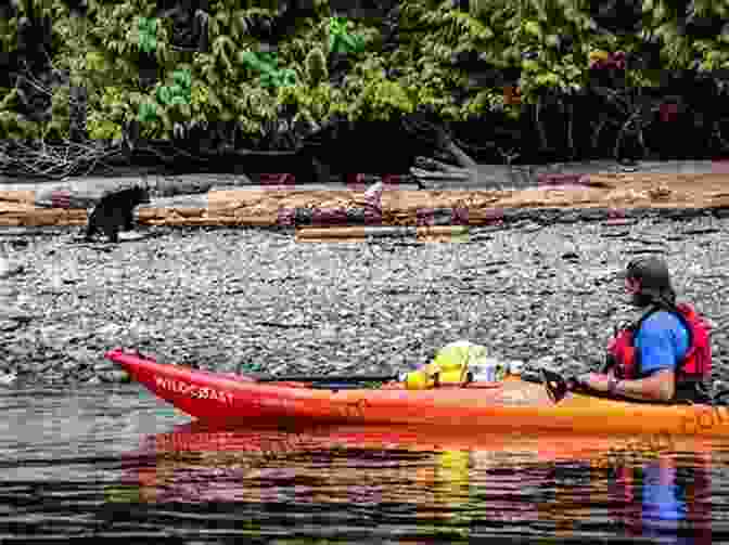 A Man Paddles A Kayak Along The Coast Of British Columbia Becoming Coastal: 25 Years Of Exploration And Discovery Of The British Columbia Coast By Paddle Oar And Sail
