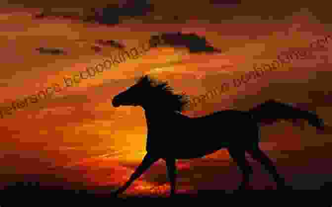 A Mustang Standing On A Hilltop With A Sunset In The Background Freedom: Spirit Of A Mustang