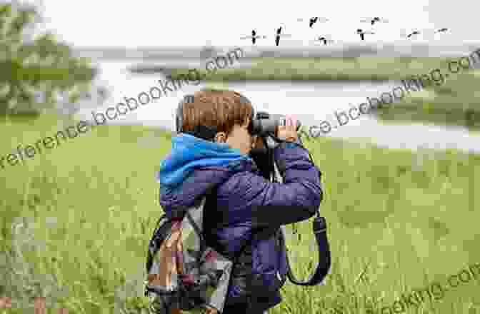 A Person Using Binoculars To Observe Bees In A Meadow My Bumblebee Story (Nature Adventures)