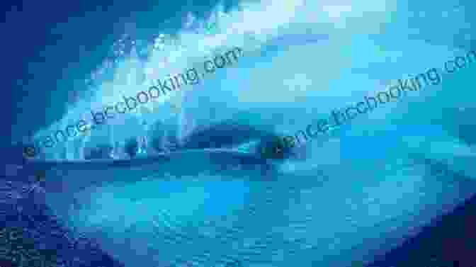A Photo Of A Blue Whale, The Largest Mammal On Earth. A Brief History Of Earth: Four Billion Years In Eight Chapters