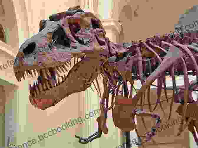 A Skeletal Reconstruction Of A Tyrannosaurus Rex, One Of The Largest Dinosaurs That Ever Lived. A Brief History Of Earth: Four Billion Years In Eight Chapters