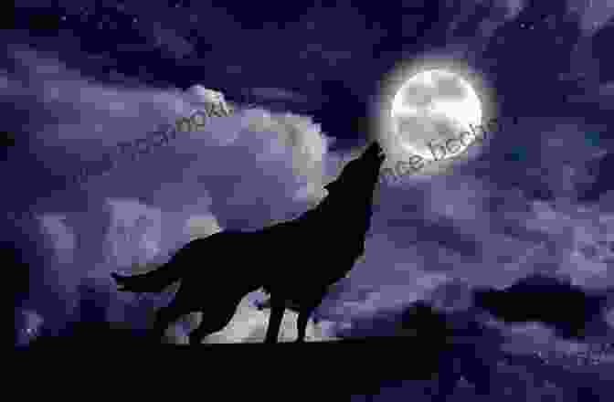 A Wolf Howling At The Full Moon, Surrounded By A Dark Forest Watch Out For Wolf Anica Mrose Rissi