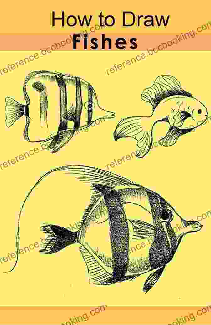 Ameil Ollis' How To Draw Fishes Book Cover How To Draw Fishes Ameil Ollis