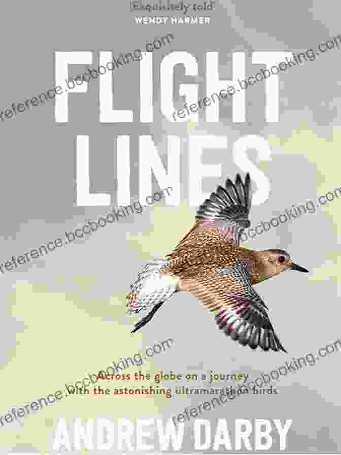 Andrew Darby, A Seasoned Commercial Pilot And Author Of Flight Lines Flight Lines Andrew Darby