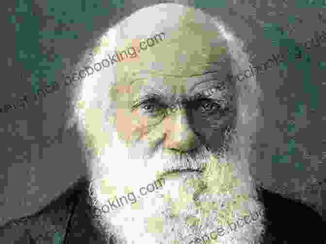 Charles Darwin, A Thoughtful And Revolutionary Scientist, Changed Our Understanding Of The Natural World. Charles Darwin: Destroyer Of Myths