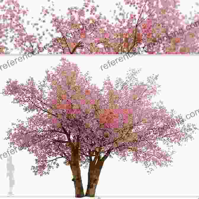 Charming 3D Model Of A Sakura Tree With Blossoming Pink Flowers High Performance Paper Airplanes: 10 Easy To Assemble Models: This Paper Airplanes Is Fun For Kids And Parents