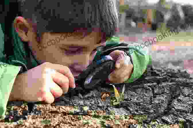 Children Exploring Nature With Magnifying Glasses, Examining Rocks And Plants. Rock Collecting For Kids: An To Geology (Simple s To Science)