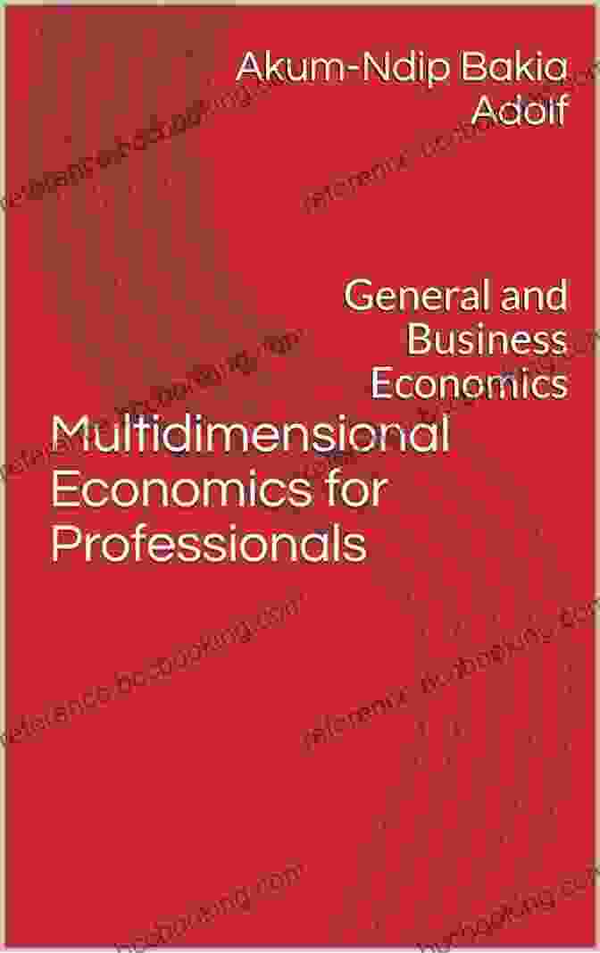 Cover Of Akum Multidimensional Economics Book Multidimensional Economics For Professionals : General And Business Economics (Akum Multidimensional Economics 1)