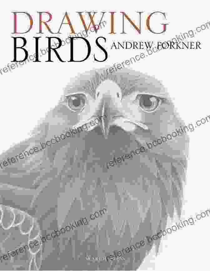Cover Of The Book 'Drawing Birds' By Andrew Forkner Drawing Birds Andrew Forkner