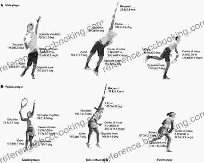 Diagram Illustrating The Biomechanics Of A Tennis Swing A New Spin On Tennis