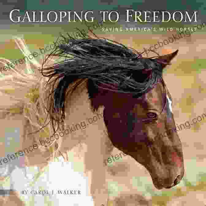 Echo Released Into The Wild, Galloping Towards Freedom Echo: The Mustang Returns (Freedom 2)