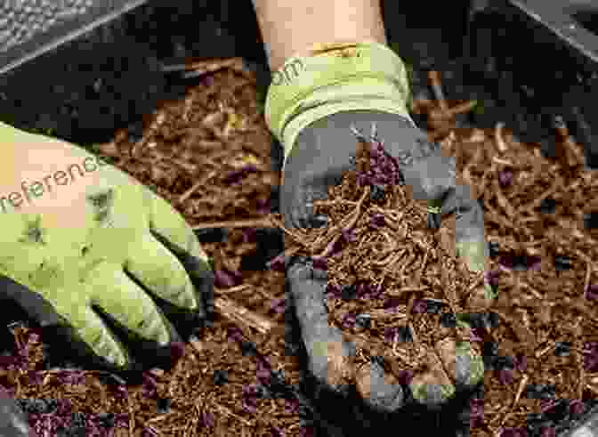 Image Showcasing The Use Of Worms In Vermiculture For Composting Organic Waste And In Scientific Research For Studying Soil Processes Curious About Worms (Smithsonian) Alina Daria