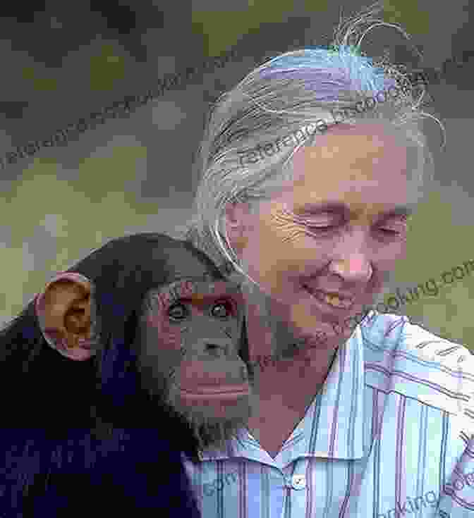 Jane Goodall Observing Chimpanzees Visionary Women: How Rachel Carson Jane Jacobs Jane Goodall And Alice Waters Changed Our World