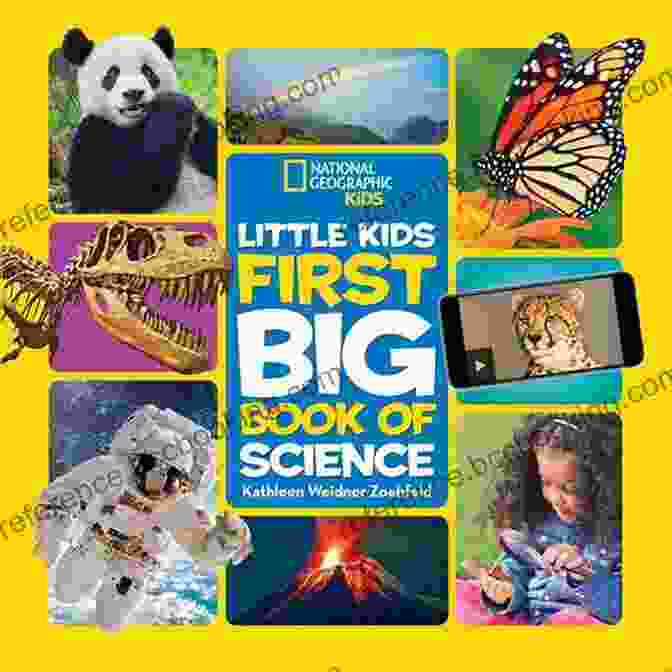 Little Kids Big Money Book Cover Little Kids Big Money: Tools For Teaching Kid Friendly Finance