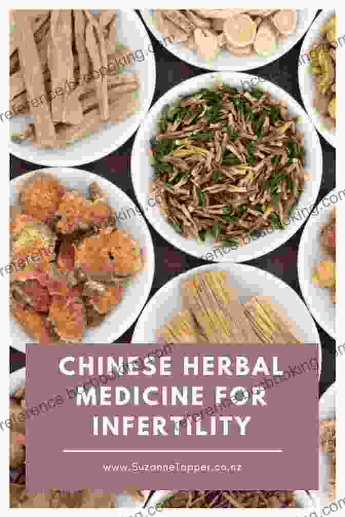 Medicinal Herbs Used In TCM For Infertility Fertility Wisdom: How Traditional Chinese Medicine Can Help Overcome Infertility