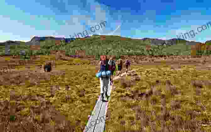 Overland Track, Tasmania Top Walks In Tasmania Alexander Armstrong