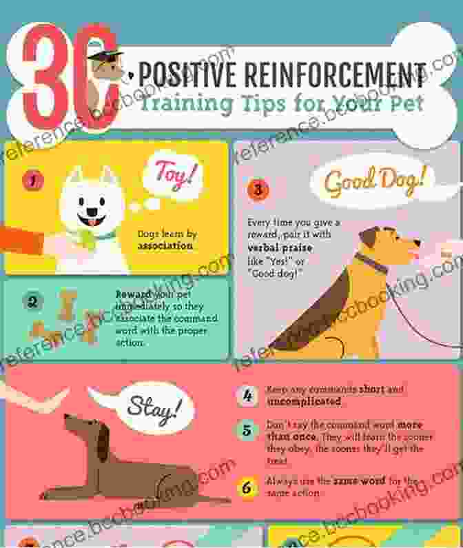 Positive Reinforcement Training Techniques For Dogs Decoding Your Dog: Explaining Common Dog Behaviors And How To Prevent Or Change Unwanted Ones