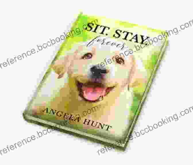 Sit. Stay. Forever. Book Cover Featuring A Young Woman And Her Dog Looking Out A Window Sit Stay Forever Angela Hunt