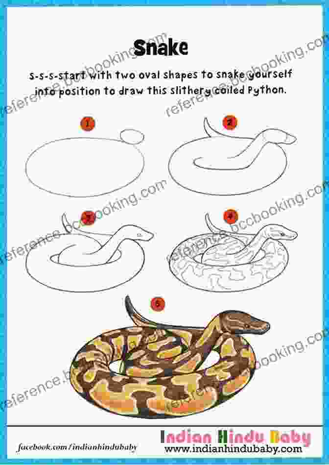 Snake Sketch 2 How To Draw Snakes Step By Step Guide: Best Snake Drawing For You And Your Kids