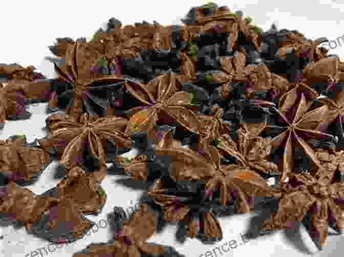 Star Anise Pods In The Eastern Mediterranean Spice: Flavors Of The Eastern Mediterranean