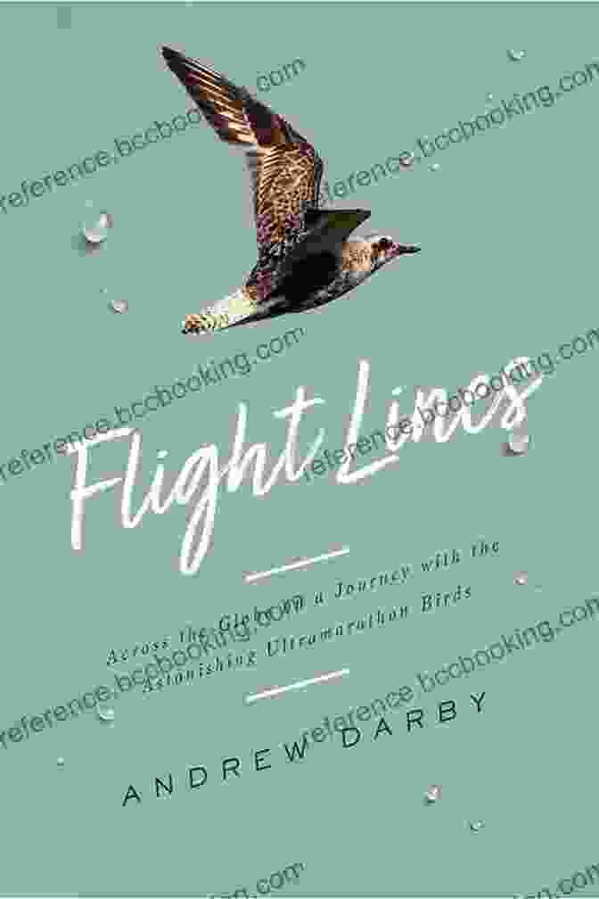 The Captivating Cover Of Flight Lines By Andrew Darby, Featuring The Silhouette Of A Commercial Airliner Against A Vibrant Sunset Flight Lines Andrew Darby