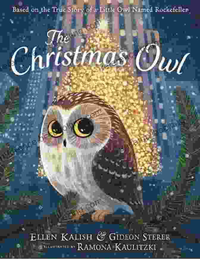 The Christmas Owl Book Cover The Christmas Owl Angela Muse