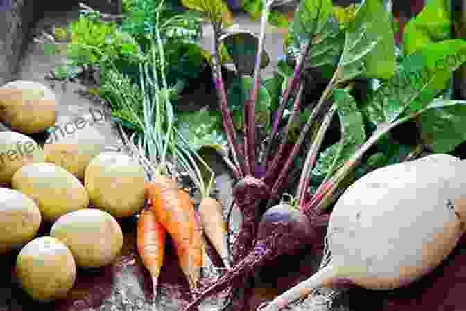 Winter Produce: Kale, Root Vegetables, Citrus Fruits, And More Franny S: Simple Seasonal Italian Andrew Feinberg