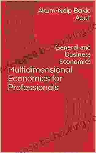 Multidimensional Economics For Professionals : General And Business Economics (Akum Multidimensional Economics 1)