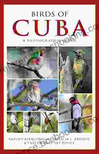 Photographic Guide To The Birds Of Cuba