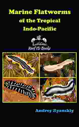 Marine Flatworms Of The Tropical Indo Pacific (Coral Reef Academy: Indo Pacific Photo Guides 6)