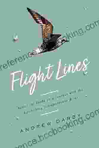 Flight Lines Andrew Darby
