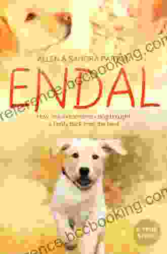 Endal: How One Extraordinary Dog Brought A Family Back From The Brink