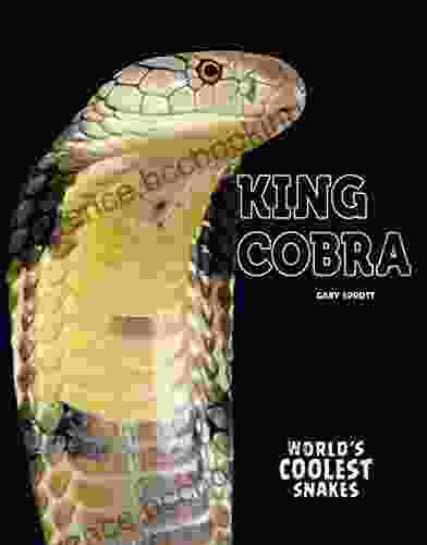 King Cobra (World S Coolest Snakes)