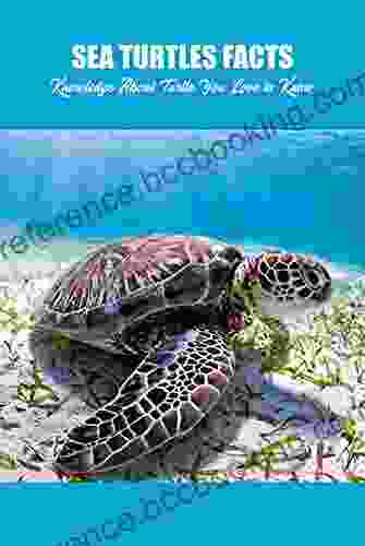 Sea Turtles Facts: Knowledge About Turtle You Love To Know