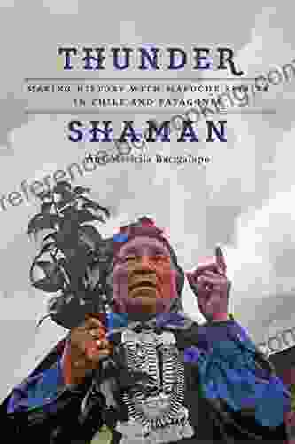Thunder Shaman: Making History With Mapuche Spirits In Chile And Patagonia