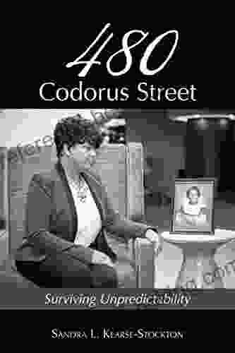480 Codorus Street: Surviving Unpredictability Allison Pataki