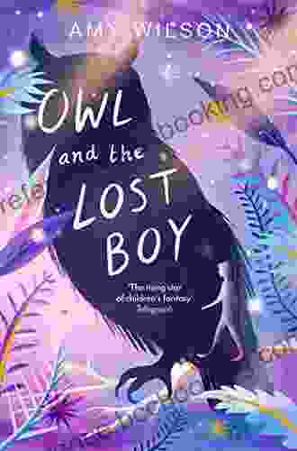 Owl And The Lost Boy