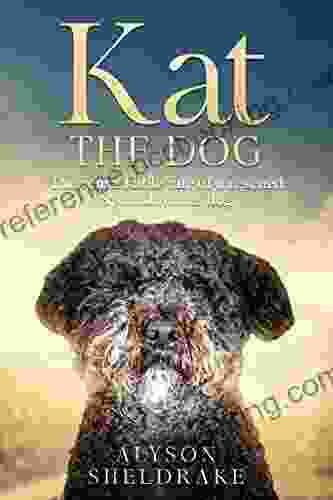 Kat The Dog: The Remarkable Tale Of A Rescued Spanish Water Dog