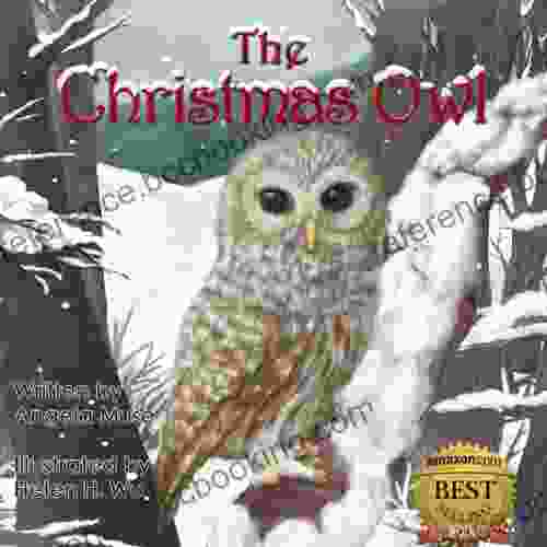 The Christmas Owl Angela Muse